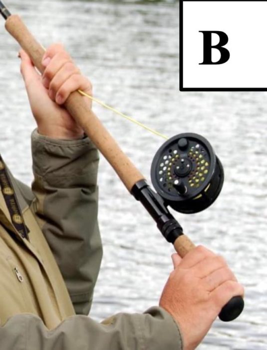 The Single Spey Cast AAPGAI